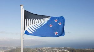 Silver Fern (Black, White and Blue) flying on top of a hill.  https://www.govt.nz/browse/engaging-with-government/the-nz-flag-your-chance-to-decide/2-choices/the-silver-fern-flag/ 